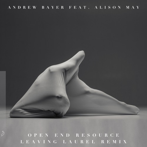 Andrew Bayer